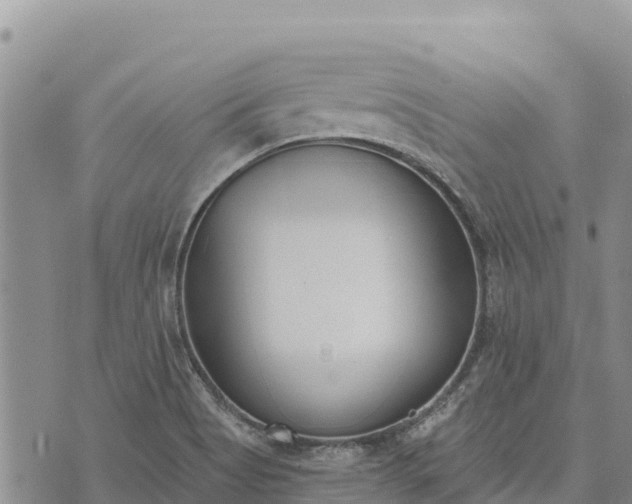 X0000073451513200608111337