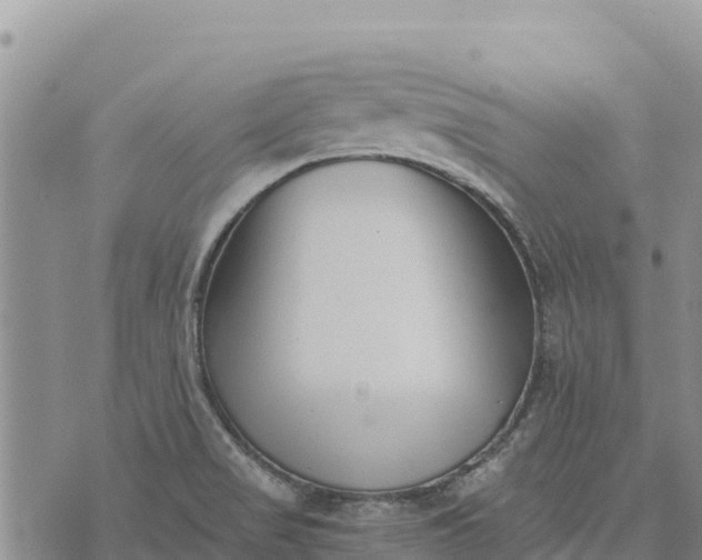 X0000073451517200608111337