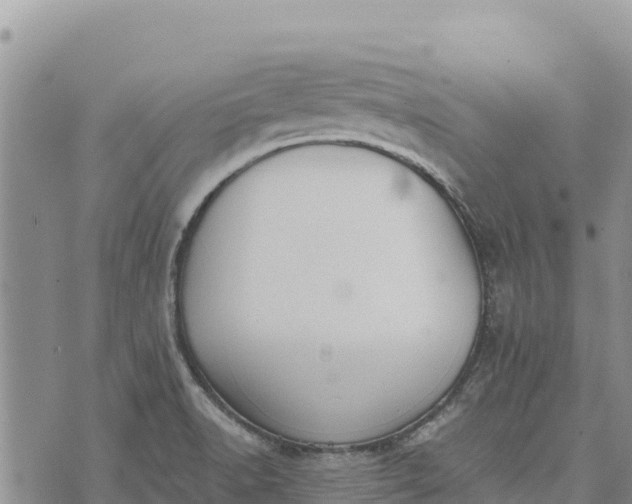 X0000073451518200608111337