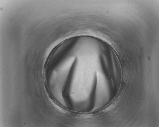 X0000073451519200608111337