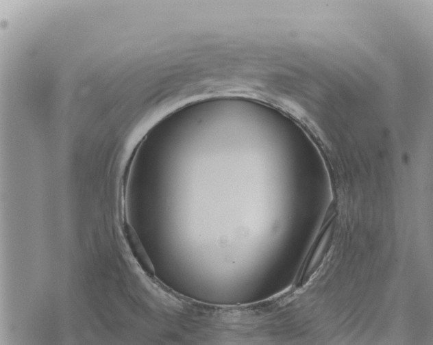 X0000073451520200608111337