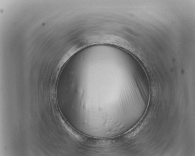 X0000073451521200608111337