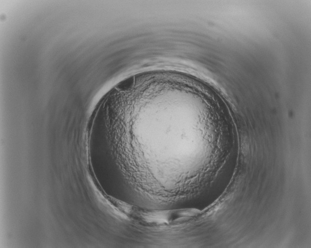 X0000073451522200608111337