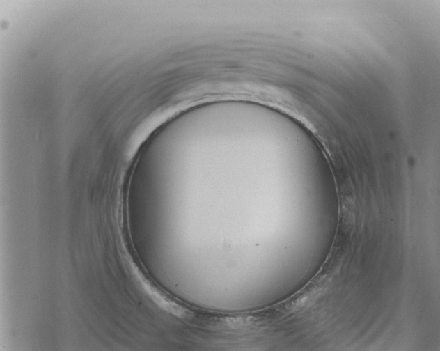 X0000073451523200608111337