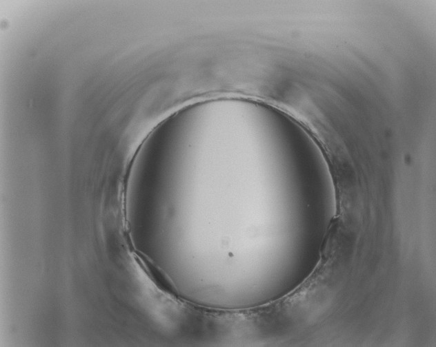 X0000073451524200608111337