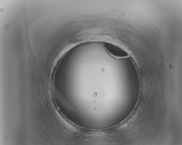 X0000073451525200608111337