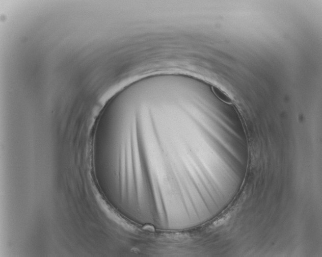 X0000073451526200608111337