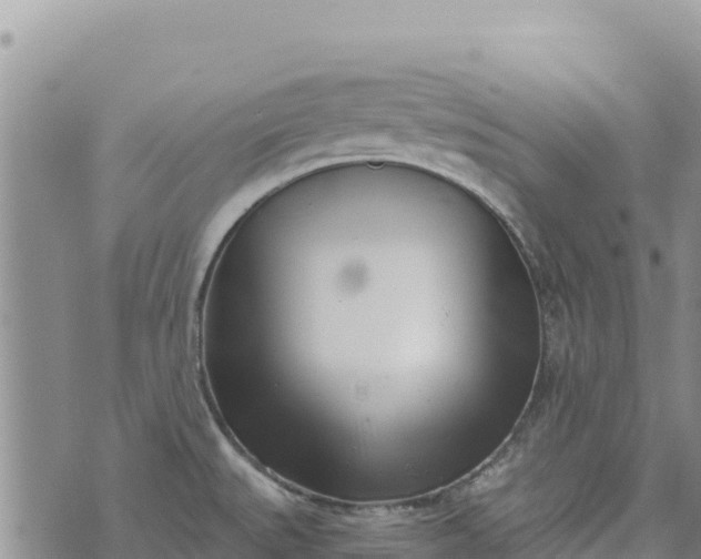 X0000073451527200608111337