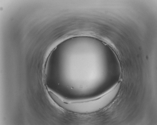 X0000073451528200608111337