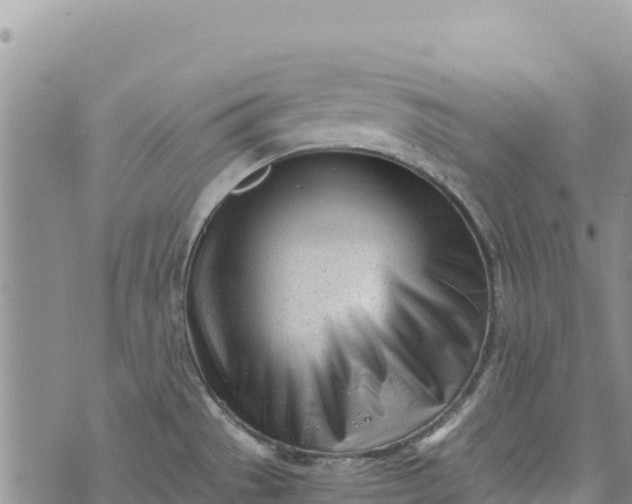 X0000073451529200608111337