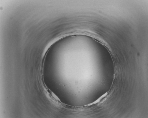 X0000073451530200608111337