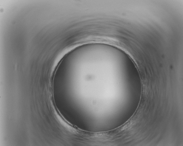 X0000073451531200608111337