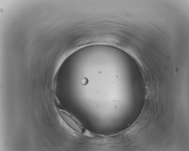 X0000073451532200608111337