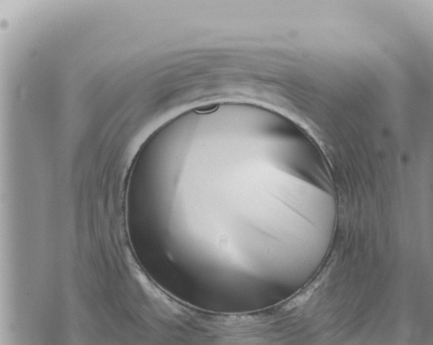 X0000073451534200608111337