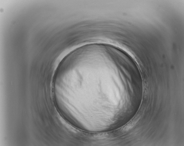 X0000073451535200608111337