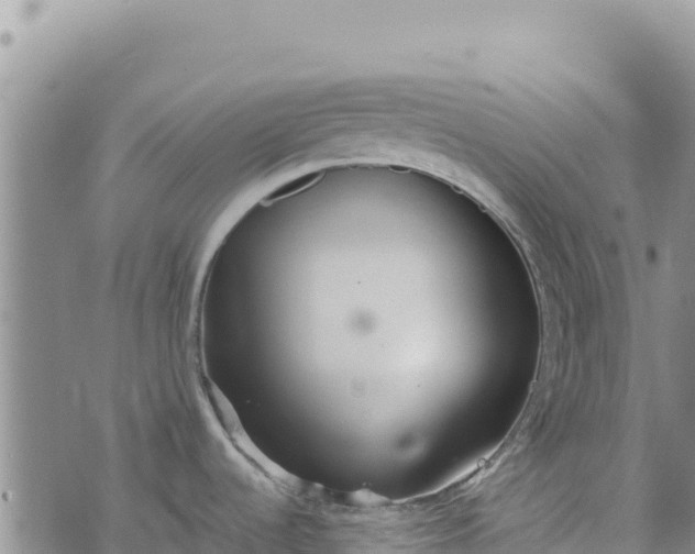 X0000073451536200608111338