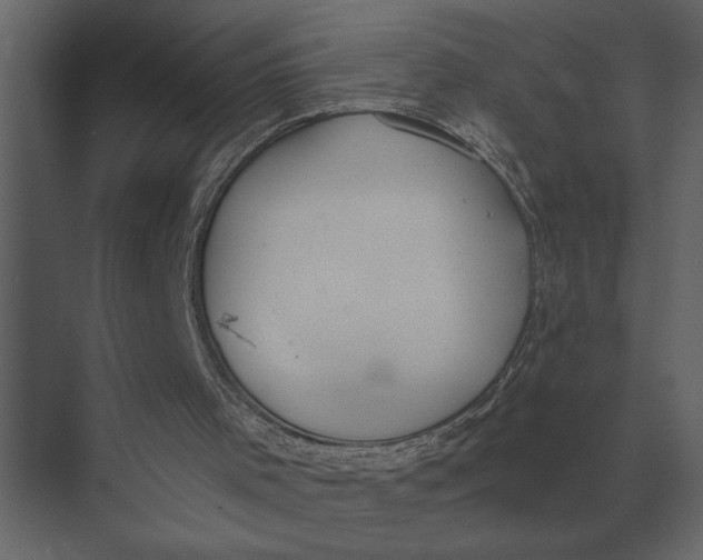 X0000073450001200608181251