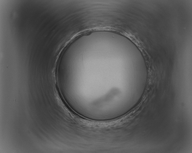 X0000073450002200608181251