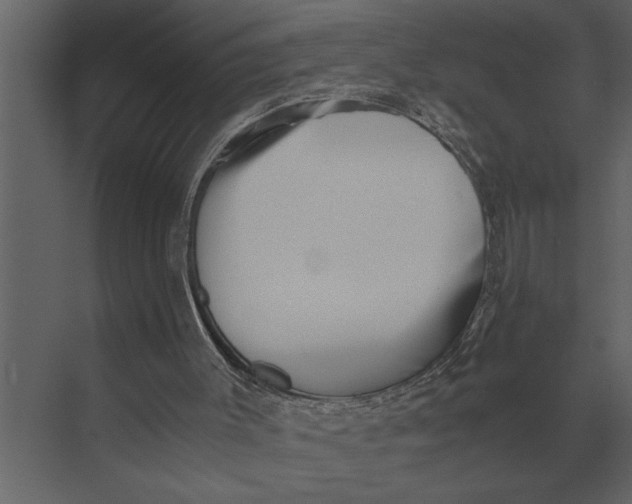 X0000073450003200608181251