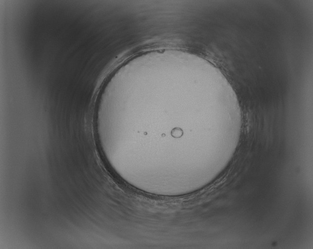 X0000073450004200608181251