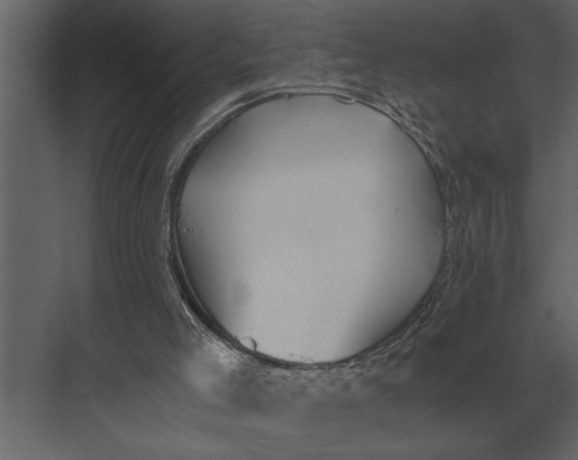 X0000073450005200608181250