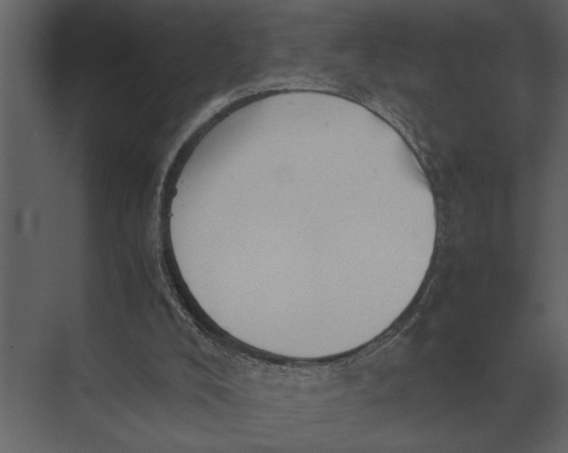 X0000073450008200608181250