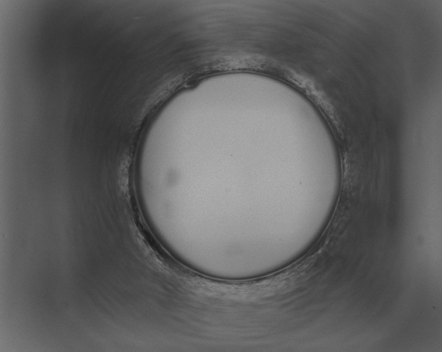 X0000073450010200608181250