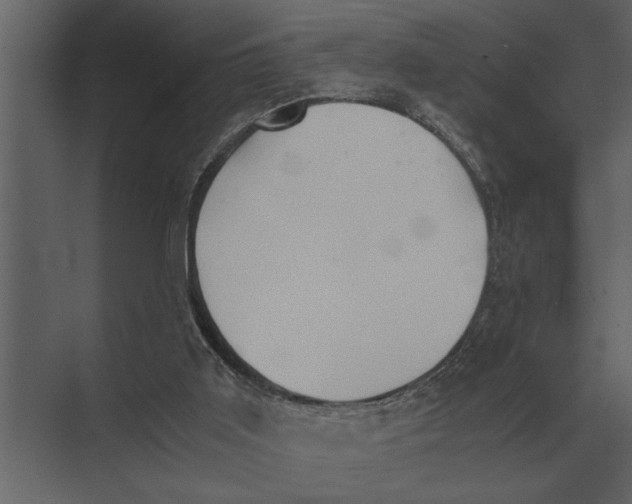 X0000073450011200608181250