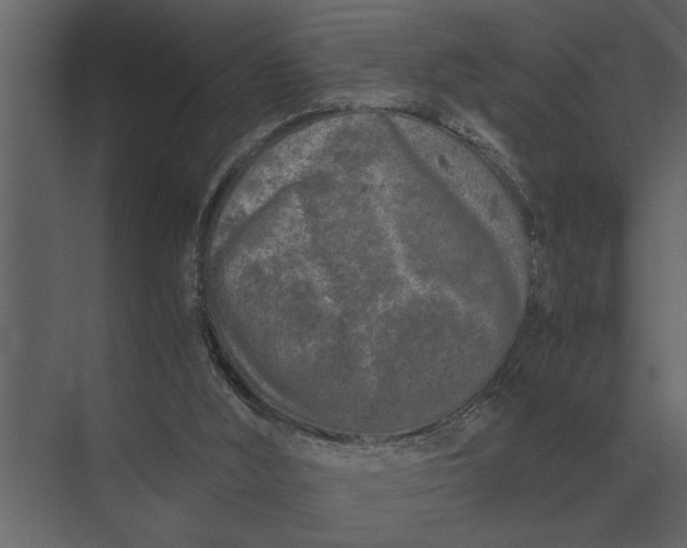 X0000073450012200608181250