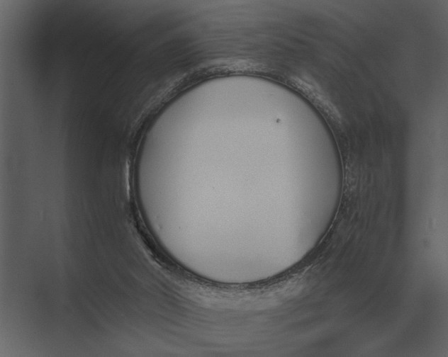 X0000073450014200608181250