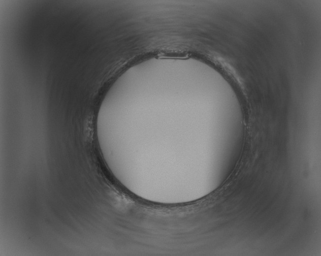 X0000073450017200608181250