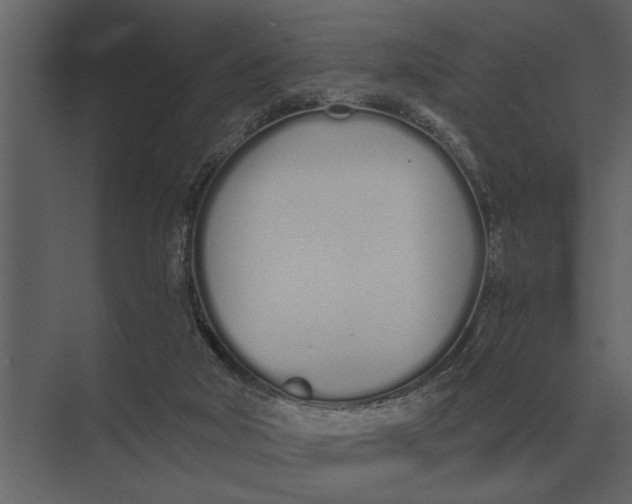 X0000073450018200608181250