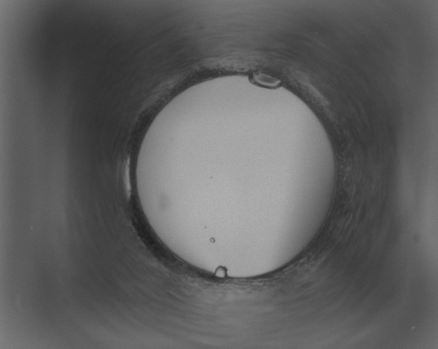 X0000073450020200608181250