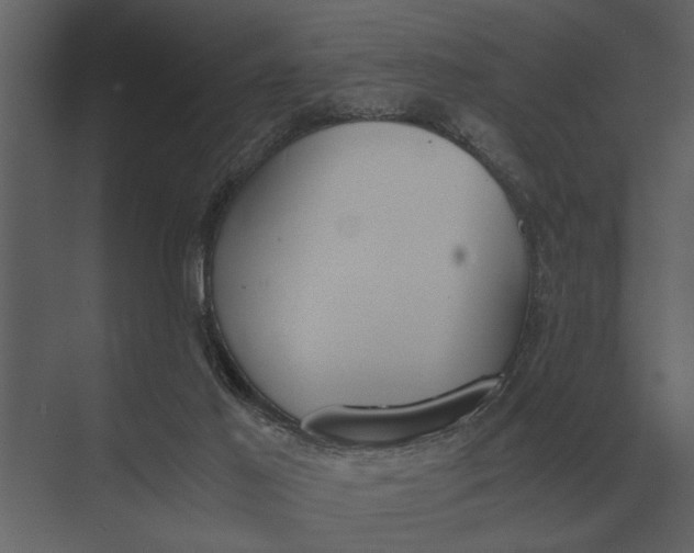 X0000073450021200608181250