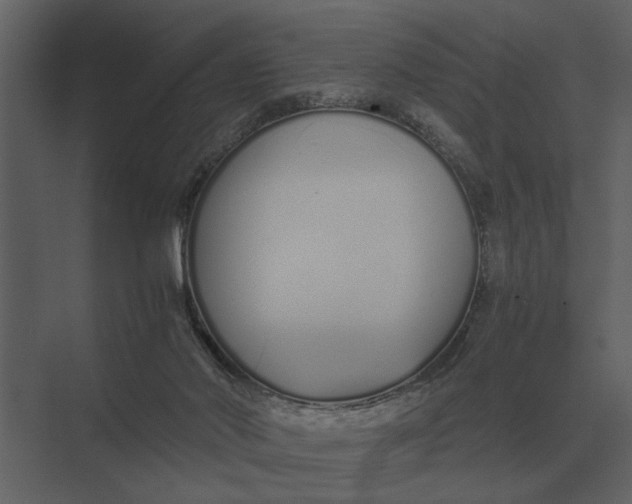 X0000073450022200608181250