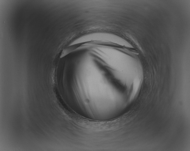 X0000073450023200608181250