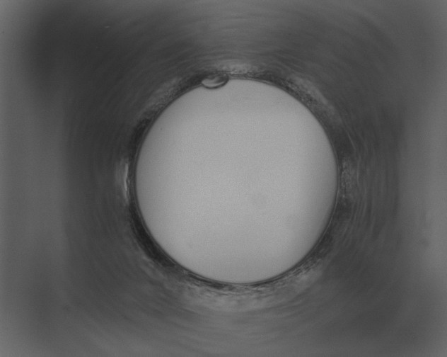 X0000073450024200608181250