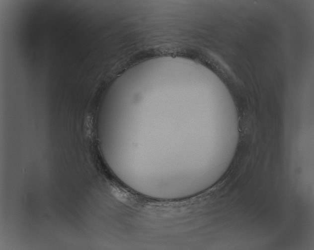 X0000073450025200608181250