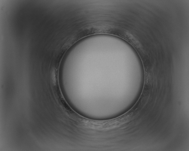 X0000073450026200608181250