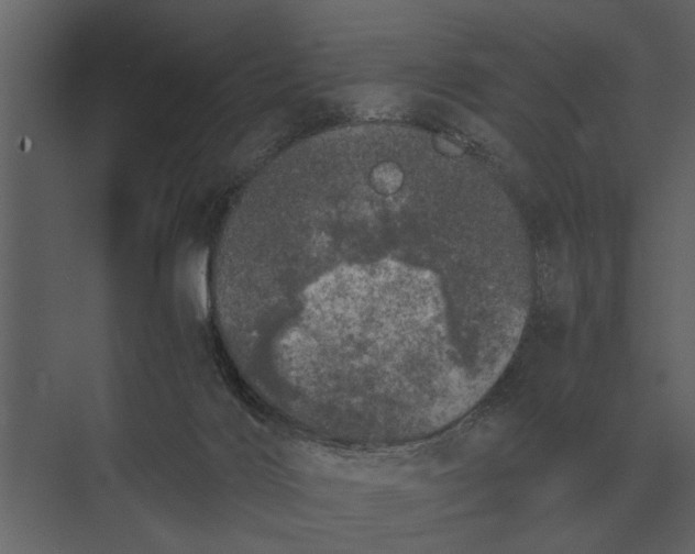 X0000073450028200608181250