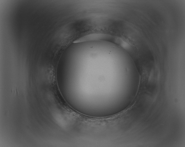 X0000073450029200608181250