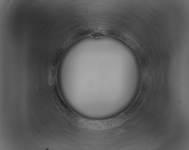 X0000073450030200608181250