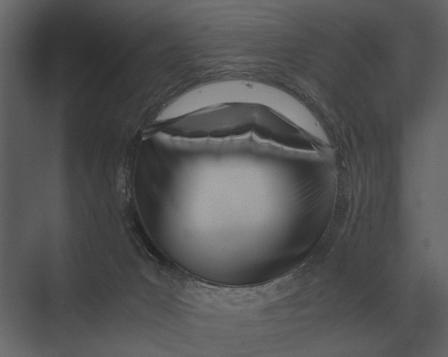 X0000073450031200608181250