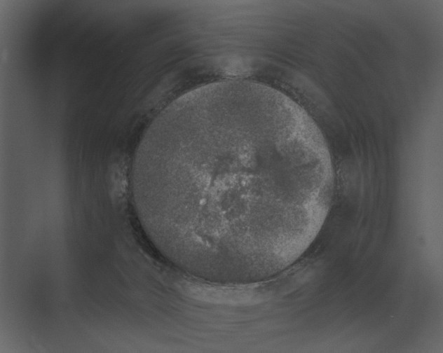 X0000073450032200608181250