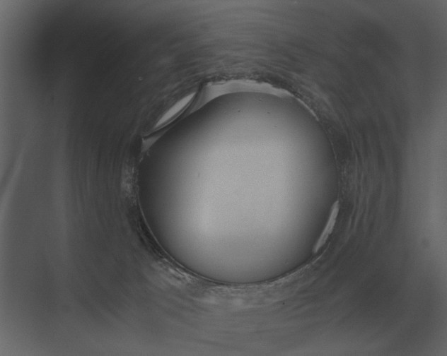 X0000073450033200608181250