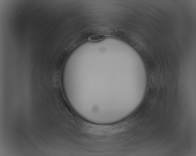 X0000073450034200608181250