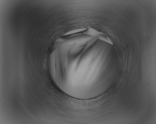 X0000073450035200608181250