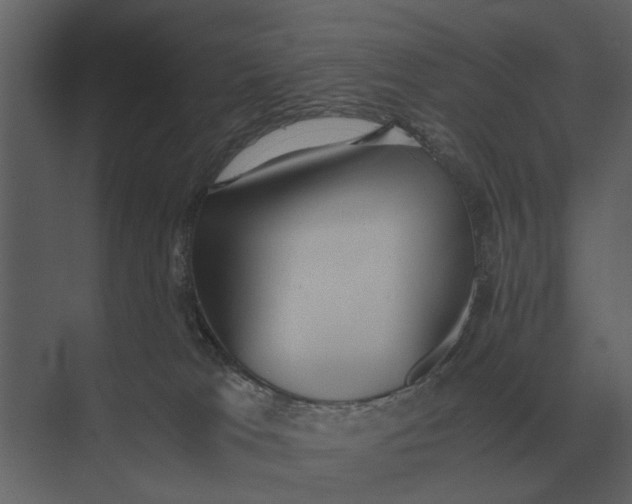 X0000073450037200608181250