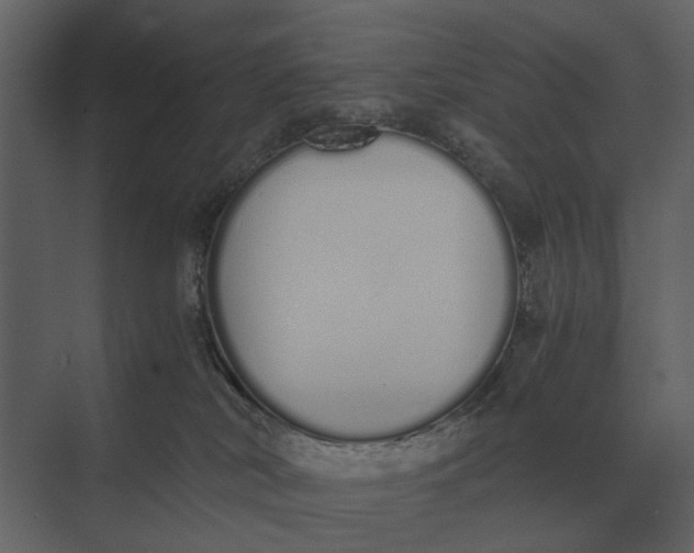 X0000073450038200608181250