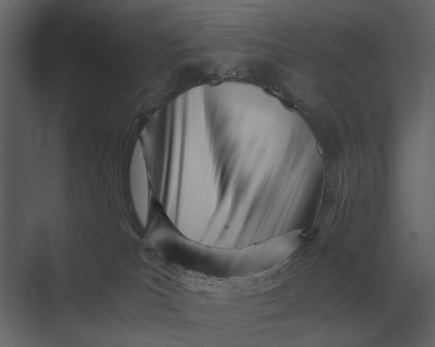 X0000073450039200608181250